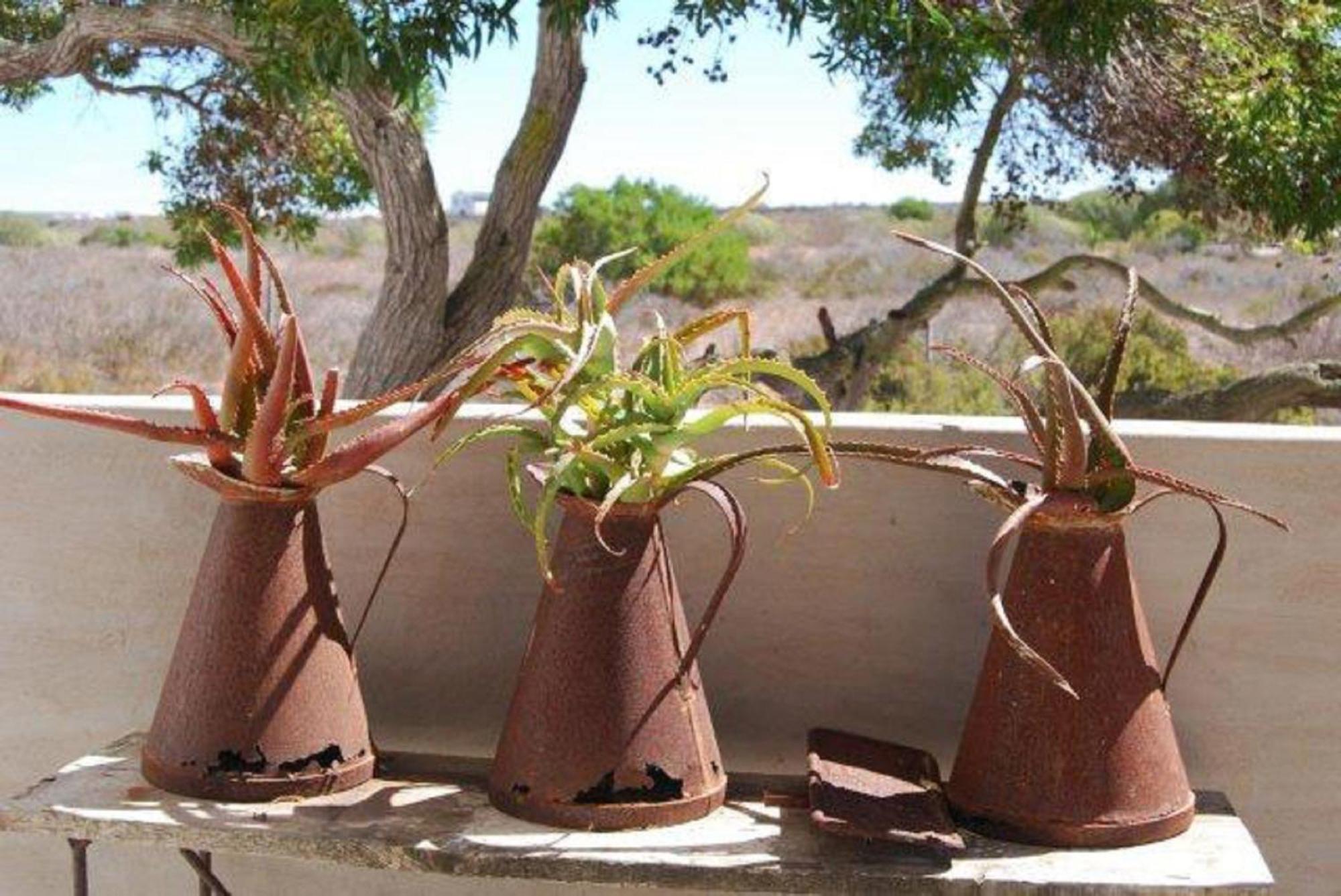 Gelukkie Hotel Paternoster Exterior photo